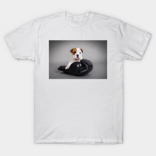 Boxing English bulldog T-Shirt